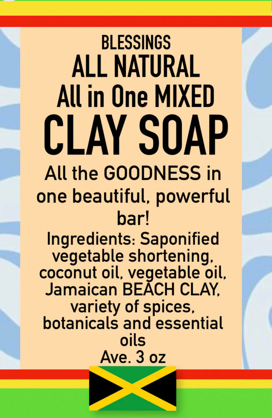 All in One Mixed Clay Specialty Soap