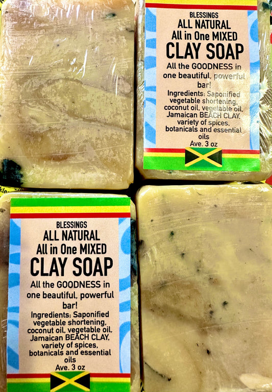 All in One Mixed Clay Specialty Soap